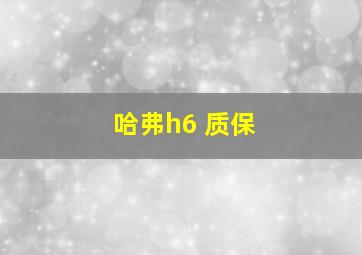 哈弗h6 质保